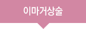 이마거상술(엔도타인)