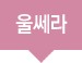울쎄라